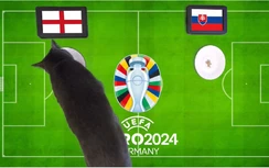 Mèo tiên tri dự đoán kết quả Anh vs Slovakia: Không có kỳ tích