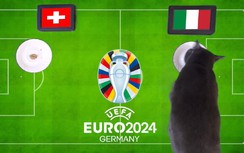 Mèo tiên tri dự đoán kết quả Thụy Sĩ vs Ý: Không có bất ngờ