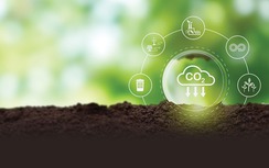 Cơ hội vàng từ thị trường carbon Việt Nam