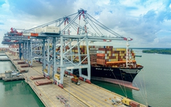 Cụm cảng Cái Mép lọt top 7 cảng container hiệu quả nhất thế giới