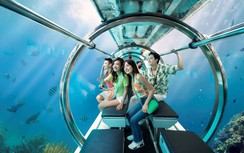 Đề xuất nhiều quy định mới về hoạt động tàu lặn