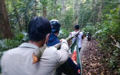 Du khách vào rừng ngắm thác bị cây đổ đè trúng người, tử vong