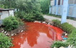Cà Mau: Vì sao nước sông Nàng Âm có màu đỏ bất thường?