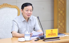 Phó thủ tướng: Quy hoạch cảng biển cần phát huy được năng lực, sức sáng tạo của nhà đầu tư