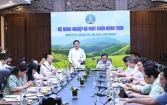 Hai bộ "bắt tay" đề xuất lập Hội đồng Lúa gạo quốc gia