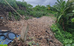 Đề xuất phương án dời bãi rác đang chắn cao tốc Cần Thơ - Cà Mau