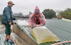 Lên phương án chằng chống nhà cửa để ứng phó với bão Yagi