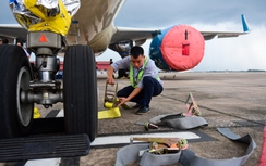 Tận thấy chằng néo tàu bay tại sân bay Nội Bài trước bão số 3