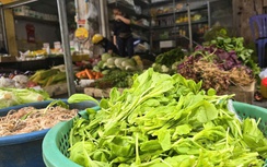 Nông dân "bay" tiền tỷ sau một đêm bão Yagi, rau xanh khan hàng, giá đắt gấp đôi