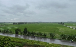 Bắc Ninh: Công ty Bảo Lạc chưa được giao đất đã bán bất động sản