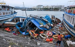 Các doanh nghiệp du thuyền Hạ Long - Lan Hạ bị bão Yagi "thổi" bay trăm tỷ
