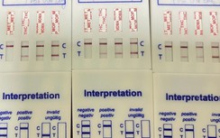 Quảng Trị: Tài xế xe đầu kéo dương tính với ma túy bị phạt 35 triệu đồng, tước GPLX