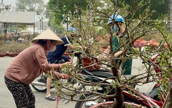 Chợ hoa Đồng Nai: Người xem đông, người mua ít