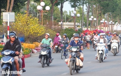 Chợ hoa kiểng Bạc Liêu nhộn nhịp ngày giáp Tết