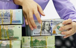 Những ngành nào nên rót tiền trong năm 2025?