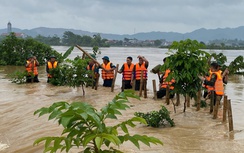 Thái Nguyên: Cơ bản xử lý tạm thời đoạn đê bối sông Cầu bị vỡ