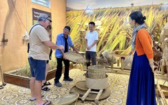 Nông dân trẻ trở về, ruộng đồng thành điểm đến và câu chuyện nông thôn mới Ninh Bình