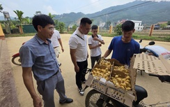 Lào Cai: Sau lũ ống, nhiều bản vực dậy từ bùn đất