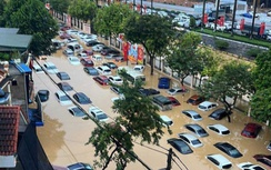 Thái Nguyên: Gara ô tô xoay xở xử lý hàng nghìn xe ngập nước sau lũ