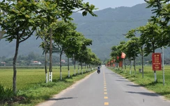 Nông thôn mới: Đề xuất 80% tuyến đường đạt chuẩn đô thị