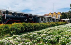 Trải nghiệm Đà Lạt cổ kính trên chuyến tàu răng cưa với mức giá giảm tới 50%