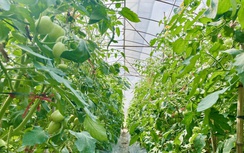 Sơn La xây dựng nông thôn mới gắn với ba chương trình mục tiêu quốc gia