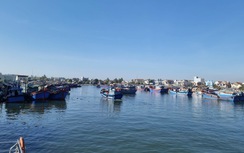 Đơn giản hóa thủ tục, số hóa quy trình quản lý cảng, bến thủy nội địa