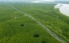 TP.HCM yêu cầu công bố lộ trình chuyển đổi phương tiện giao thông xanh