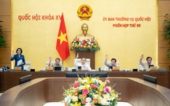 Chốt số lượng phó chủ tịch HĐND các tỉnh, thành phố sau sáp nhập