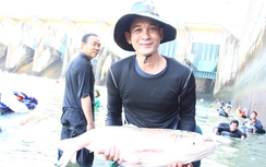 Ngừng xả lũ đập thủy điện Trị An, người dân đổ về săn cá "lộc trời”