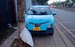 CSGT Đồng Nai xử phạt tài xế taxi dừng, đỗ xe trên vỉa hè từ tin báo của người dân