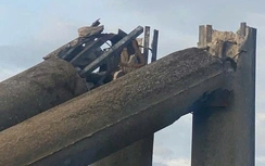 Điện lực Hà Tĩnh lên tiếng vụ 2 cột điện gãy đổ, lộ lõi sắt "mái che" sau bão số 10