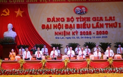 Nhiều hoạt động diễn ra trước khai mạc Đại hội Đảng bộ tỉnh Gia Lai