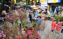 Đề xuất nghỉ tết Bính Ngọ 2026 kéo dài 9 ngày