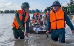 Nước lũ dâng cao, Công an Hải Phòng lội nước "cứu" tài sản, giúp dân ổn định cuộc sống