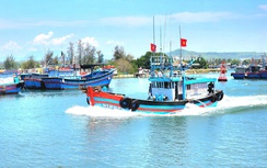 Thuyền trưởng ở Quảng Ngãi bị phạt gần 700 triệu đồng do 8 vi phạm