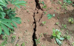 Quảng Ngãi cảnh báo loạt điểm có nguy cơ sạt lở núi đe dọa hàng trăm hộ dân