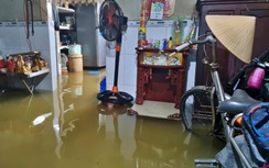 Cà Mau: Triều cường dâng cao, cuộc sống người dân đảo lộn