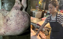 Khởi tố một kỹ sư thú y và hai tiểu thương vì nuôi lợn dịch, bán ra nhiều chợ ở Hà Nội
