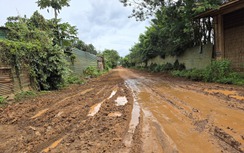 Đắk Lắk kiểm tra nghi vấn khai thác đất trái phép sau phản ánh của Báo Xây dựng