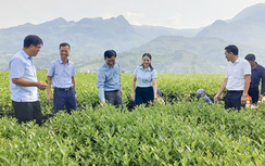 Hợp nhất ba Chương trình Mục tiêu quốc gia hướng tới xây dựng nông thôn mới toàn diện