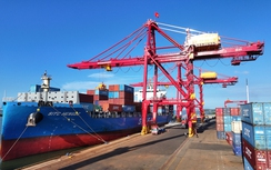 Sớm hoàn thiện xây dựng hồ sơ chính sách Bộ luật Hàng hải Việt Nam