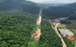 Gia Lai chuyển đổi gần 9ha rừng làm dự án trạm dừng nghỉ cao tốc Bắc - Nam