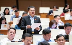 Đại biểu đề nghị bảo vệ cán bộ dám nghĩ, dám làm khi ứng phó tình trạng khẩn cấp