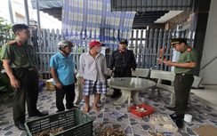 Khởi tố bắt tạm giam 2 thuyền trưởng vì đưa người khác xuất cảnh trái phép