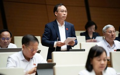 ĐBQH đề xuất hỗ trợ tài chính cho cộng đồng, doanh nghiệp trồng cây xanh ven đường