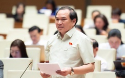 Đại biểu Quốc hội: Cần quyết liệt xử lý vi phạm môi trường như xử lý nồng độ cồn