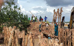 Vĩnh Long họp khẩn ứng phó triều cường làm vỡ đê bao nhiều nơi