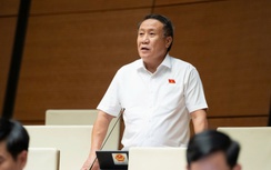 ĐBQH đề nghị rà soát yêu cầu nộp sổ đỏ photo, tránh gây phiền hà cho người dân