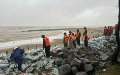 Hà Tĩnh: 7 công trình đê điều, thủy lợi cấp bách hư hỏng sau mưa bão cần được sửa chữa